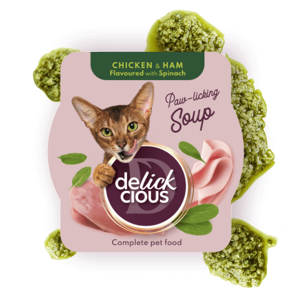 Chicken soup with ham flavored with spinach